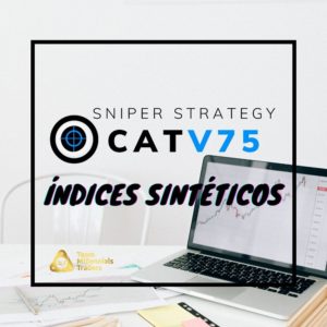 Curso índices Sintéticos - 1 Mes -