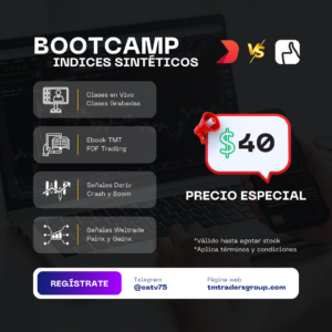 Bootcamp TMT